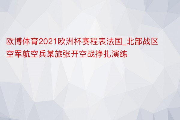 欧博体育2021欧洲杯赛程表法国_北部战区空军航空兵某旅张开空战挣扎演练