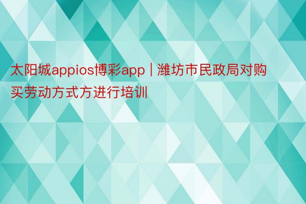 太阳城appios博彩app | 潍坊市民政局对购买劳动方式方进行培训