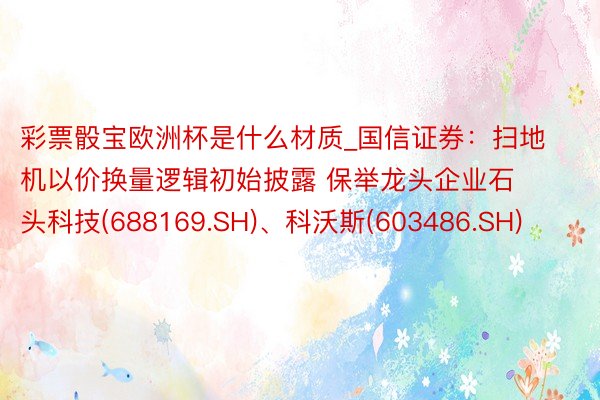 彩票骰宝欧洲杯是什么材质_国信证券：扫地机以价换量逻辑初始披露 保举龙头企业石头科技(688169.SH)、科沃斯(603486.SH)