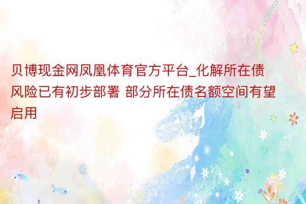 贝博现金网凤凰体育官方平台_化解所在债风险已有初步部署 部分所在债名额空间有望启用