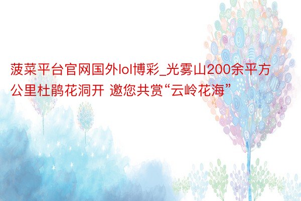 菠菜平台官网国外lol博彩_光雾山200余平方公里杜鹃花洞开 邀您共赏“云岭花海”