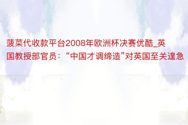 菠菜代收款平台2008年欧洲杯决赛优酷_英国教授部官员：“中国才调缔造”对英国至关遑急