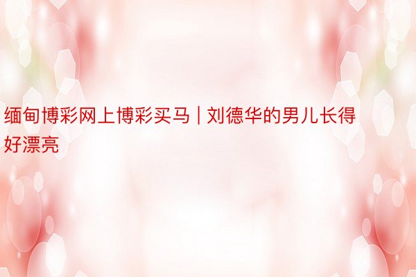 缅甸博彩网上博彩买马 | 刘德华的男儿长得好漂亮